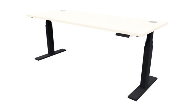 Electric Height Adjustable Standing Desk Washed Maple