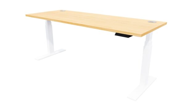 Electric Height Adjustable Standing Desk Tawa