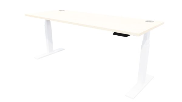 Electric Height Adjustable Office Desk Washed Maple